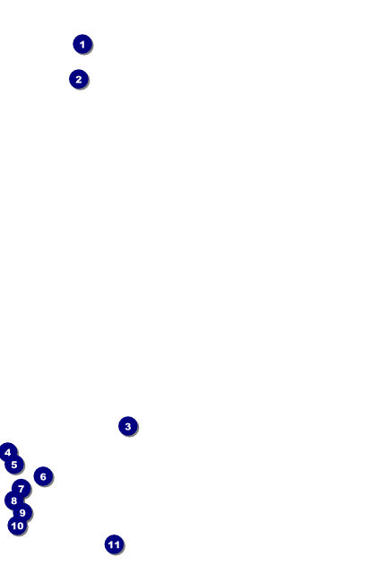 Night Club Neon Poster Front Field Markers