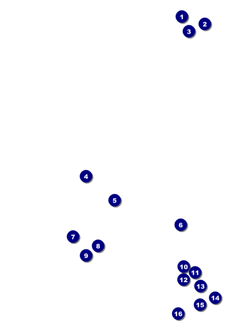 Chinese New Year Horse Postcard Front Field Markers