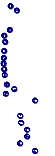 Hawaii Luau Raffle Ticket Front Field Markers