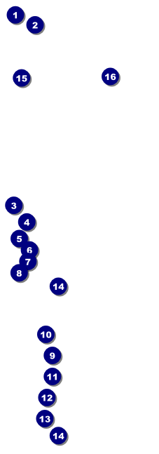Freestyle MX Raffle Ticket Front Field Markers