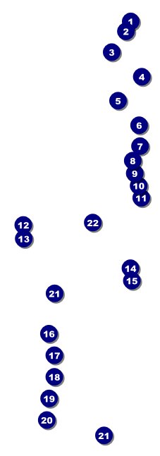 Beer Festival Raffle Ticket Front Field Markers