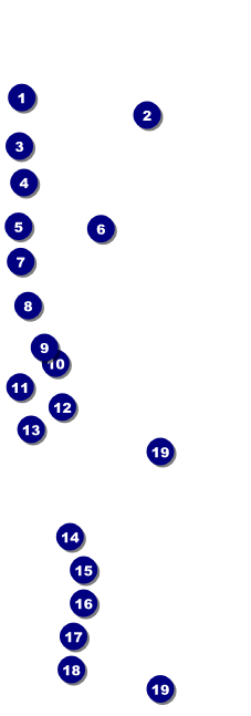 Birthday Whimsical  Raffle Ticket Front Field Markers