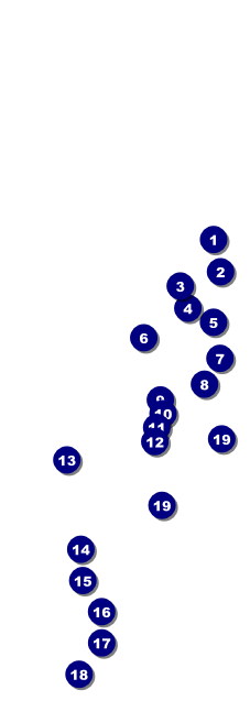 Food Festival Raffle Ticket Front Field Markers