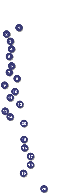 Stars and Stripes Raffle Ticket Front Field Markers
