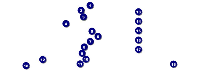 Twin Cities Raffle Ticket (black and white) Front Field Markers