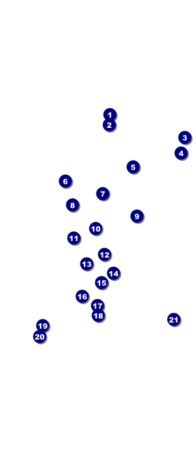 Wisconsin VIP Pass Front Field Markers