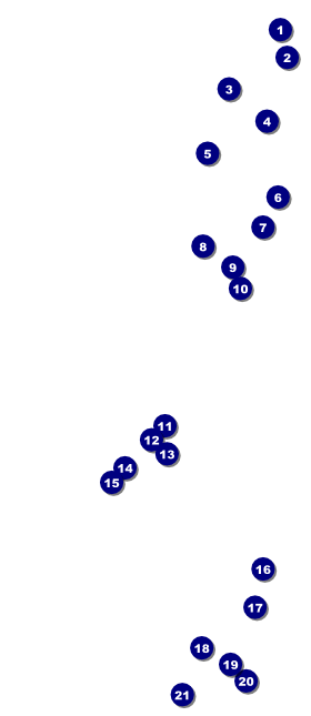 All-Star Retro Baseball VIP Pass Front Field Markers