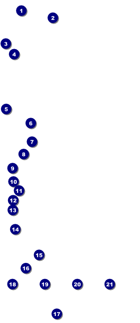 Sunrise Retro VIP Pass Front Field Markers