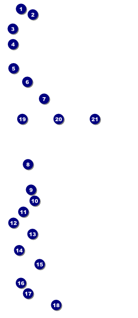 MMA Old School VIP Pass Front Field Markers