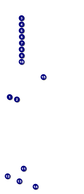 Toronto VIP Pass (Black & white) Front Field Markers