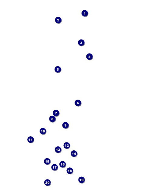 Soccer Stadium Flyer Front Field Markers
