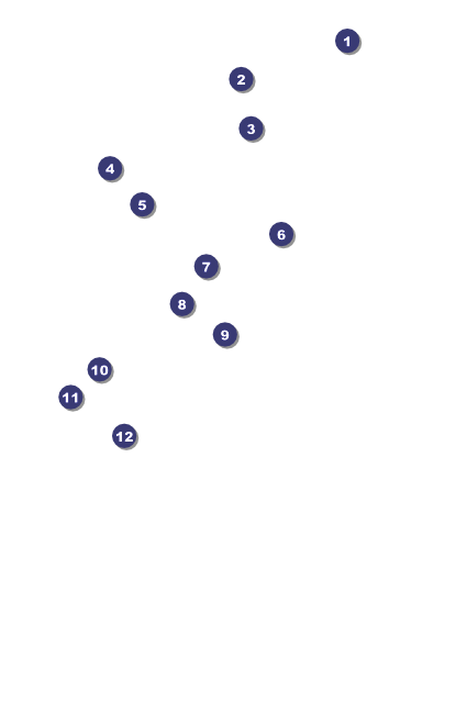 Florida Drink Ticket Front Field Markers