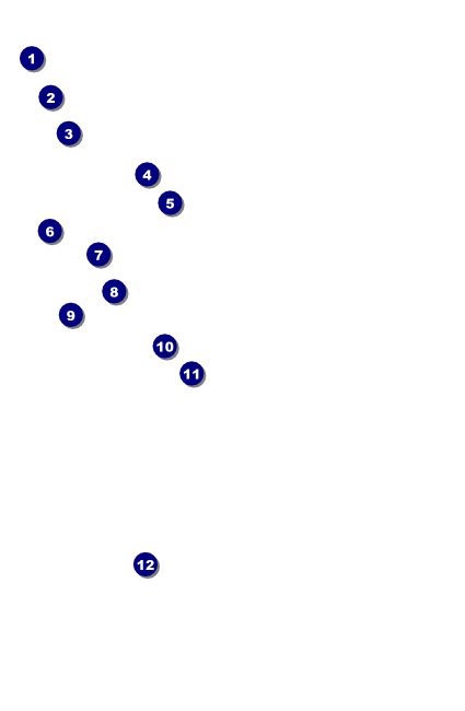 Iowa Drink Ticket Front Field Markers
