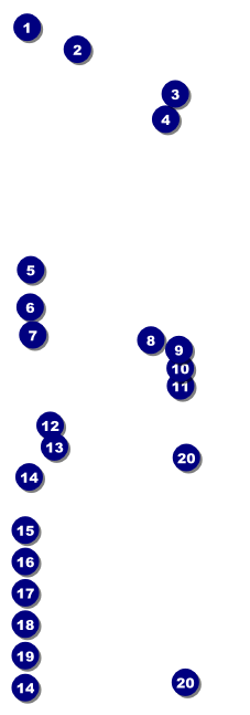 Karaoke Raffle Ticket Front Field Markers