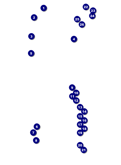 Walk Invitation Front Field Markers