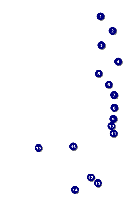 Gold Glitter Drink Ticket Front Field Markers