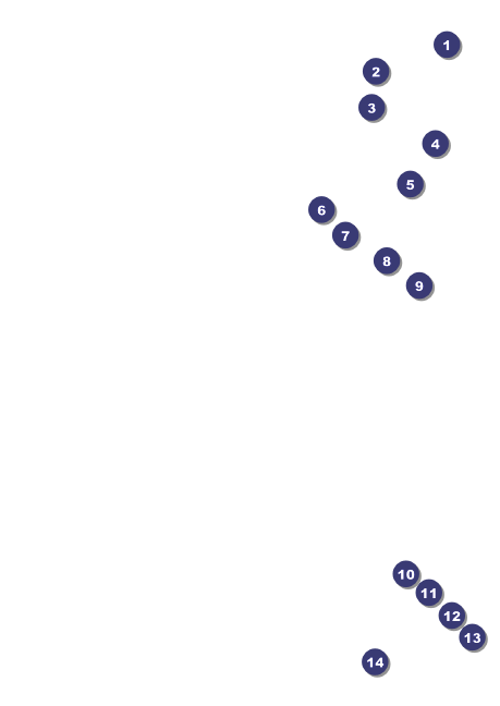 Denver Club Flyer Front Field Markers