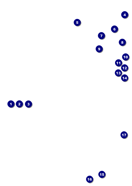 Toronto Club Flyer (Black) Front Field Markers