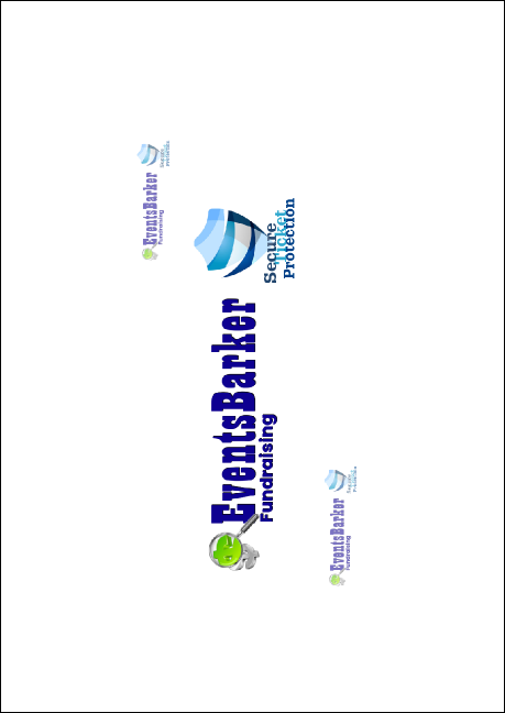 Vermont Club Flyer Product Back