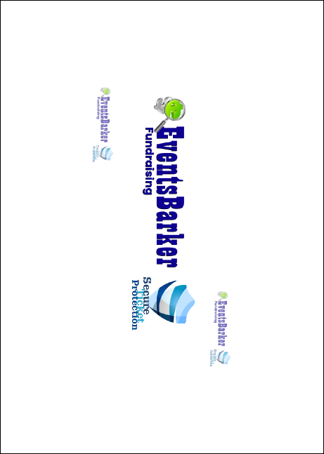 South Carolina Club Flyer Product Back