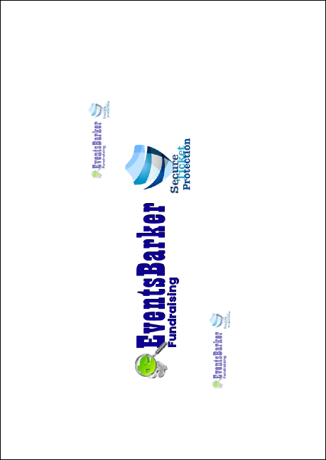 Arizona Club Flyer Product Back