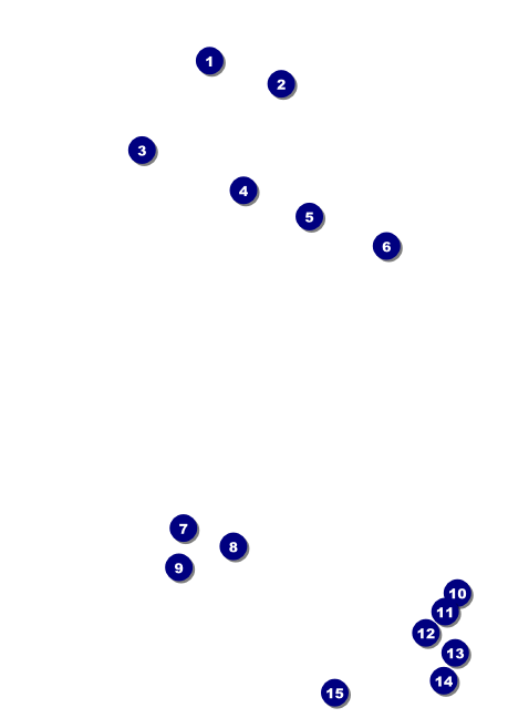 Charlotte Club Flyer Front Field Markers